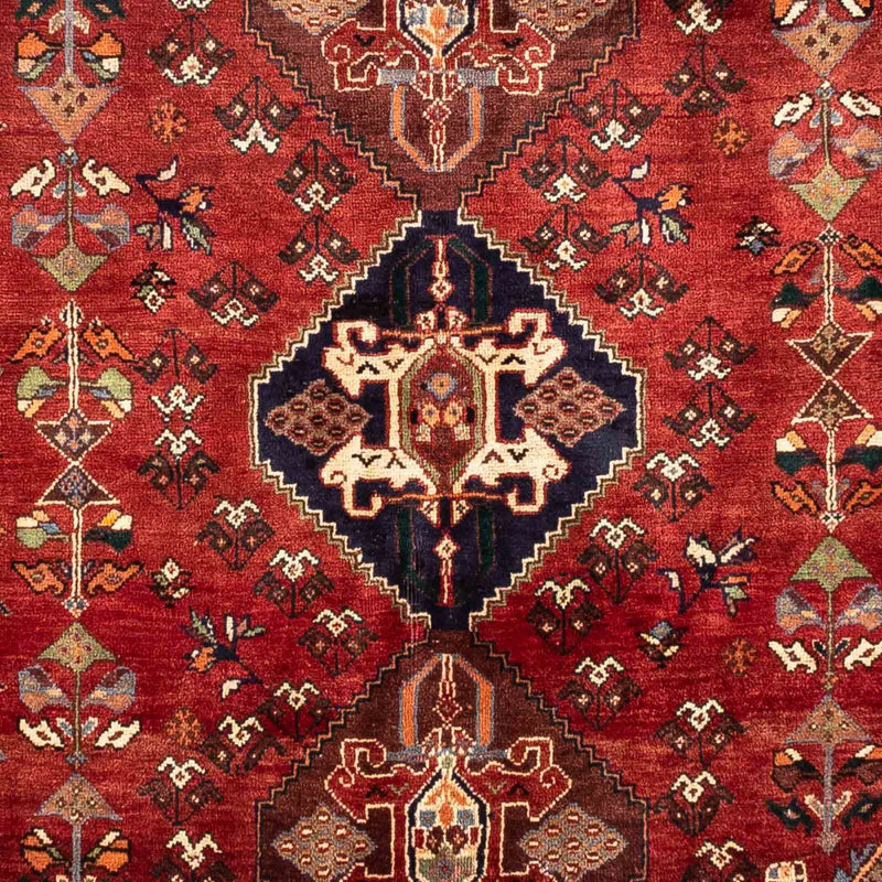 Shiraz Tapete 265x168cm - Tapete persa