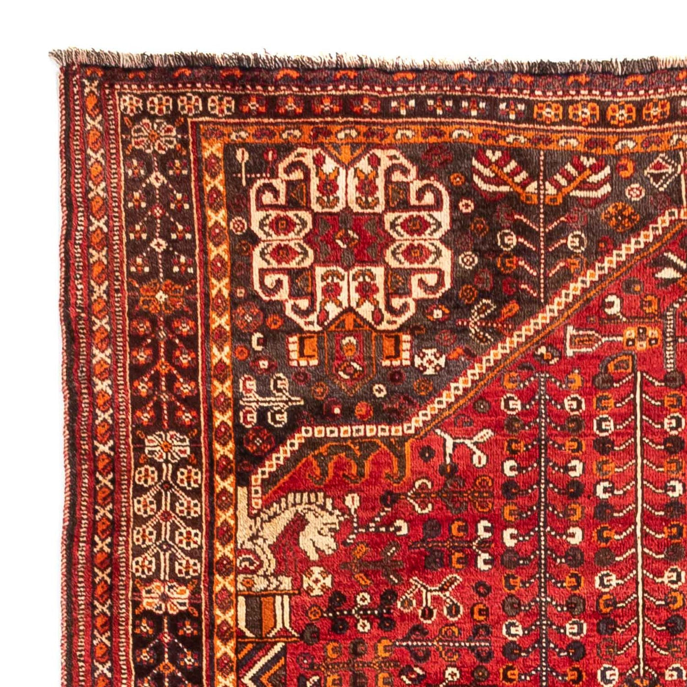 Shiraz Tapete 250x160cm - Tapete persa