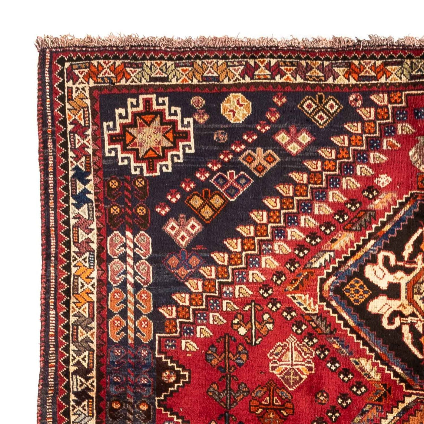 Shiraz Tapete 282x165cm - Tapete persa
