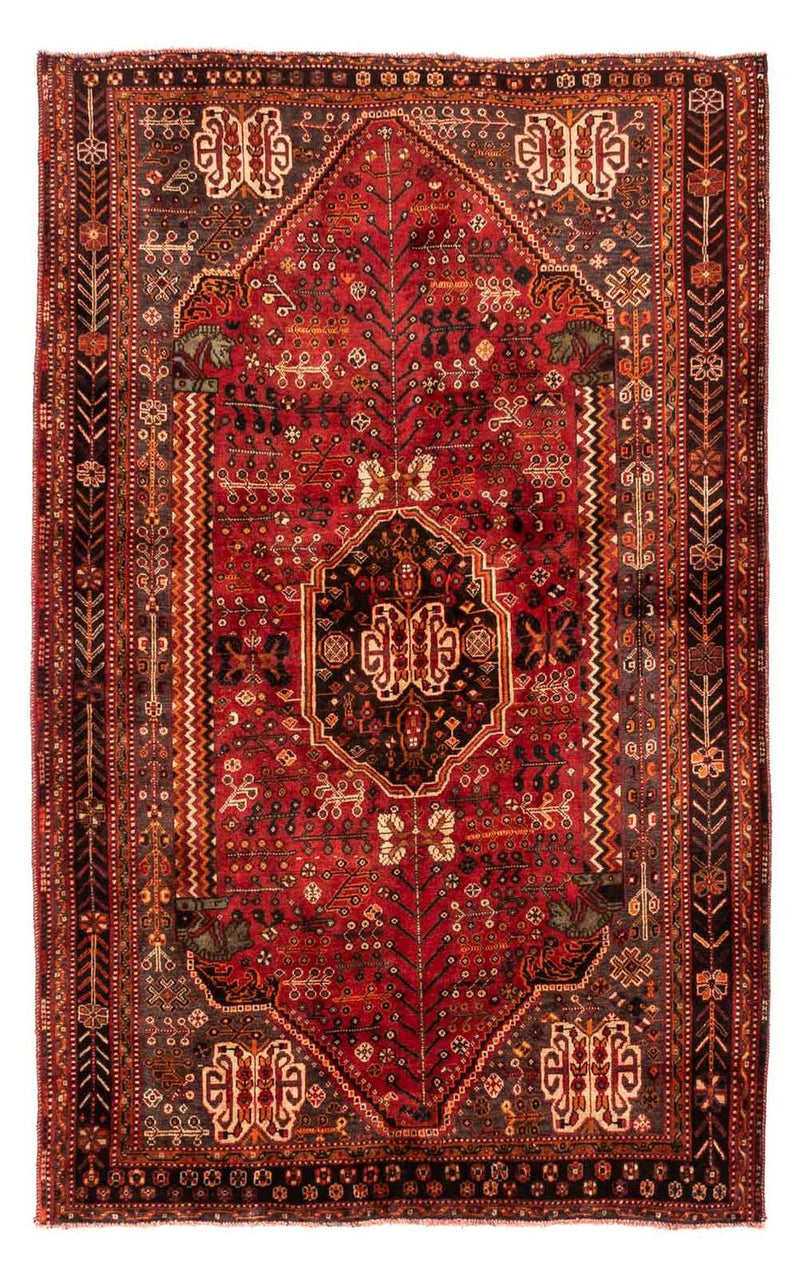 Shiraz Tapete 253x160cm - Tapete persa