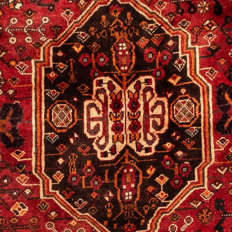 Shiraz Tapete 253x160cm - Tapete persa