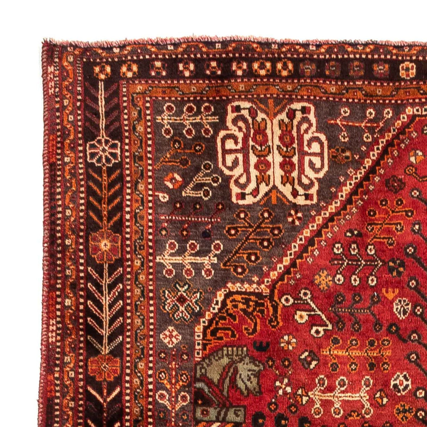 Shiraz Tapete 253x160cm - Tapete persa