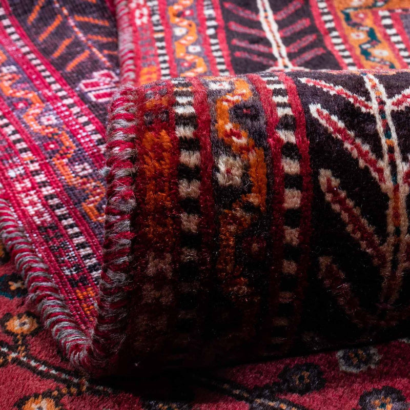 Shiraz Tapete 253x160cm - Tapete persa