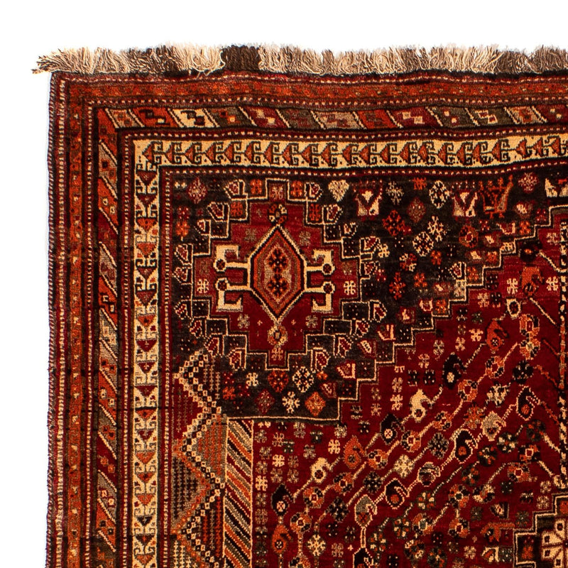 Shiraz Tapete 240x190cm - Tapete persa