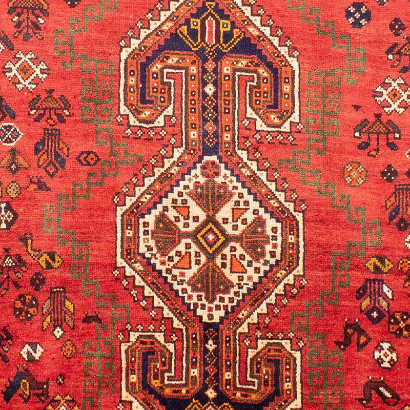 Shiraz Tapete 305x205cm - Tapete persa