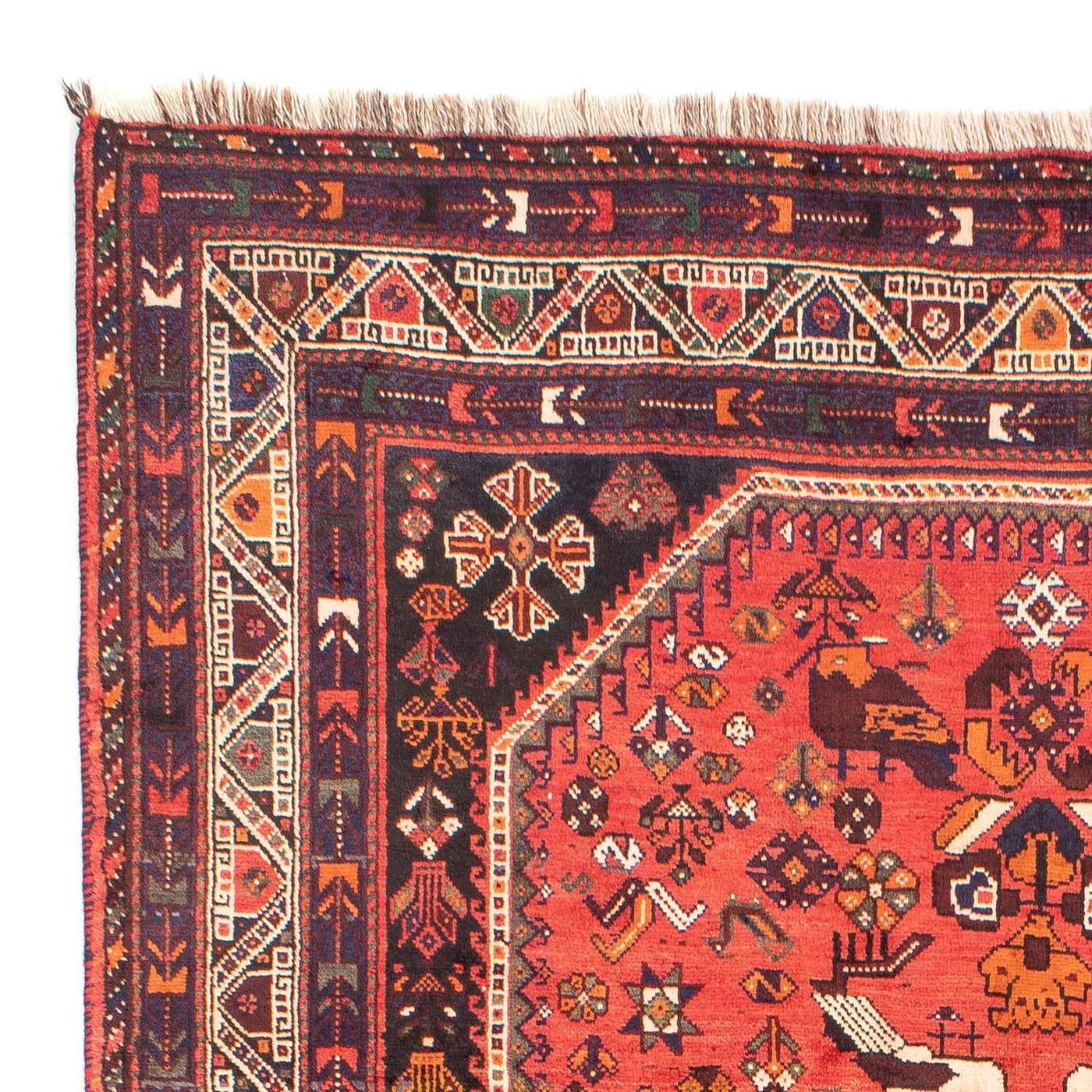 Shiraz Tapete 305x205cm - Tapete persa