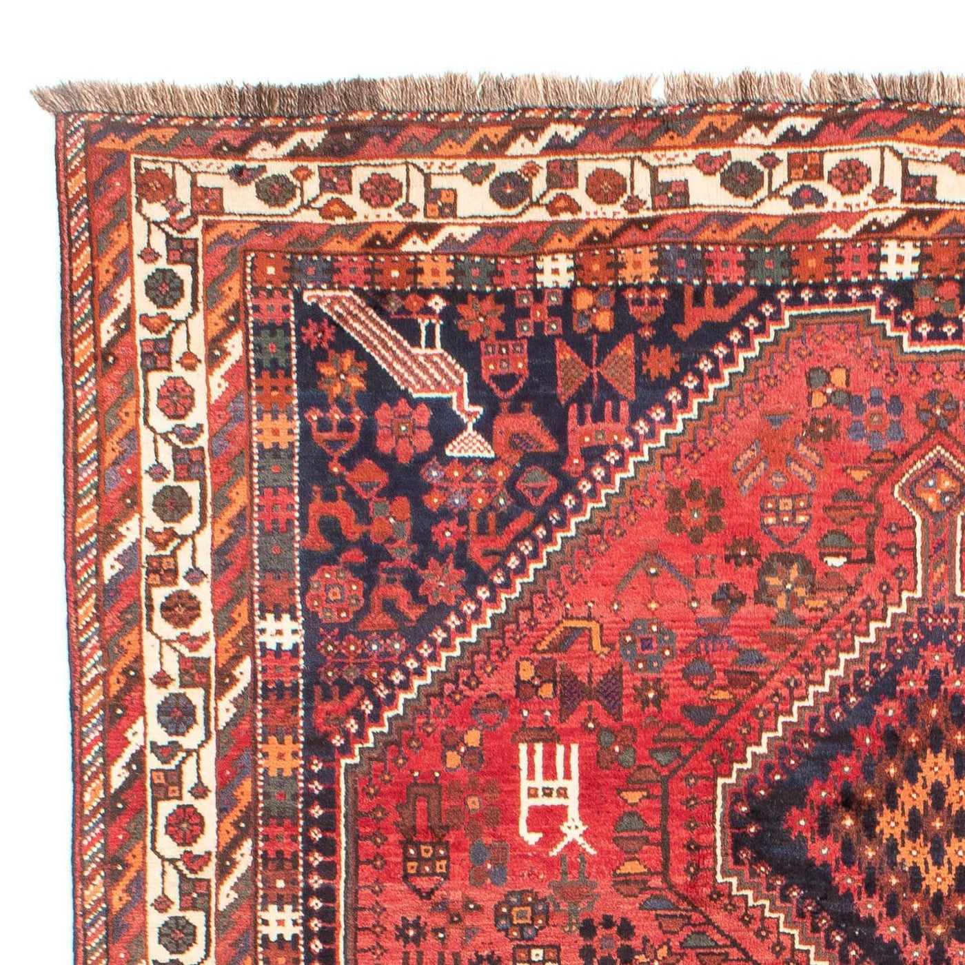 Shiraz Tapete 308x206cm - Tapete persa