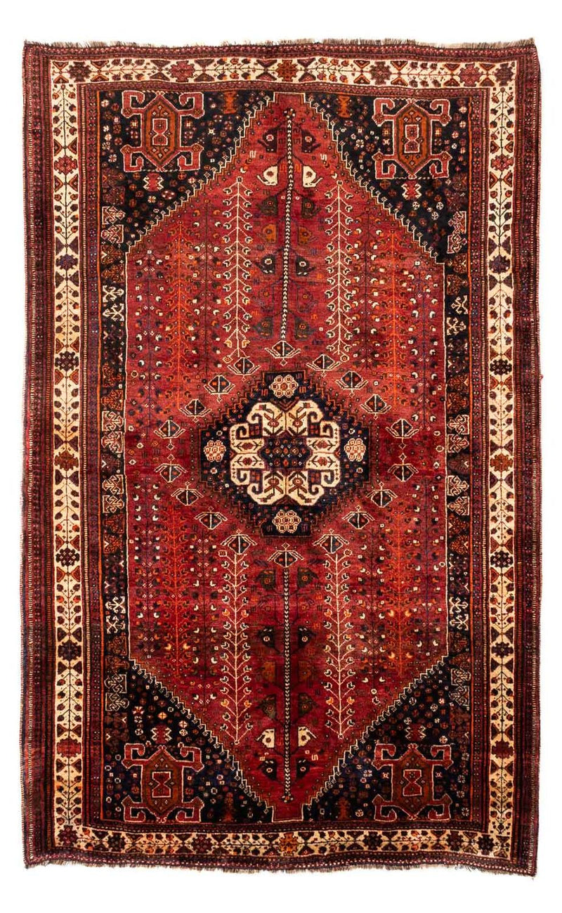 Shiraz Tapete 258x163cm - Tapete persa