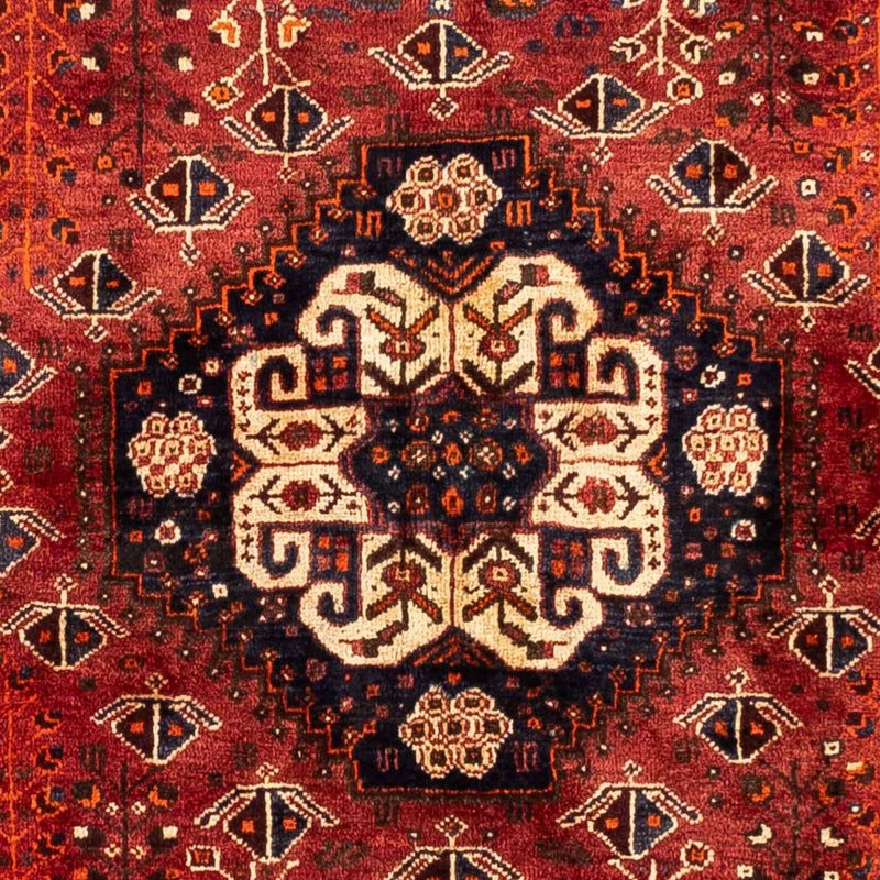 Shiraz Tapete 258x163cm - Tapete persa