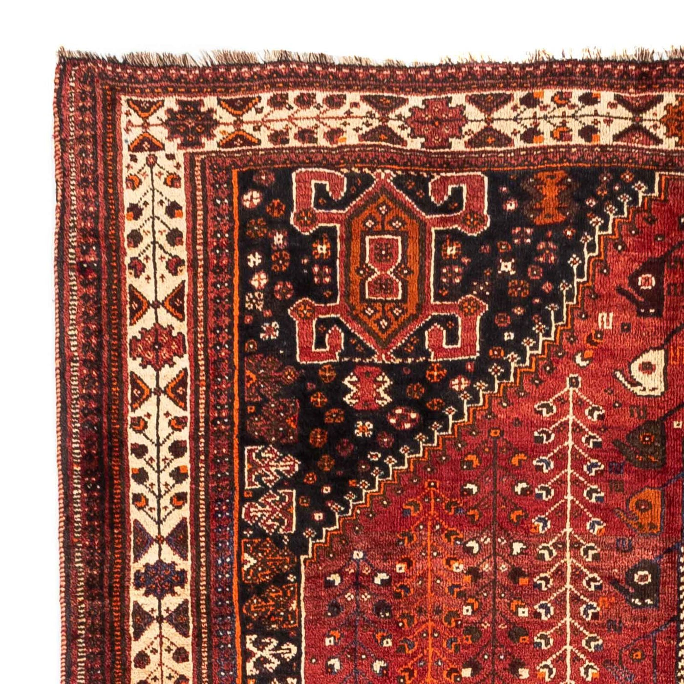 Shiraz Tapete 258x163cm - Tapete persa