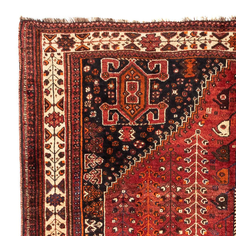 Shiraz Tapete 258x163cm - Tapete persa