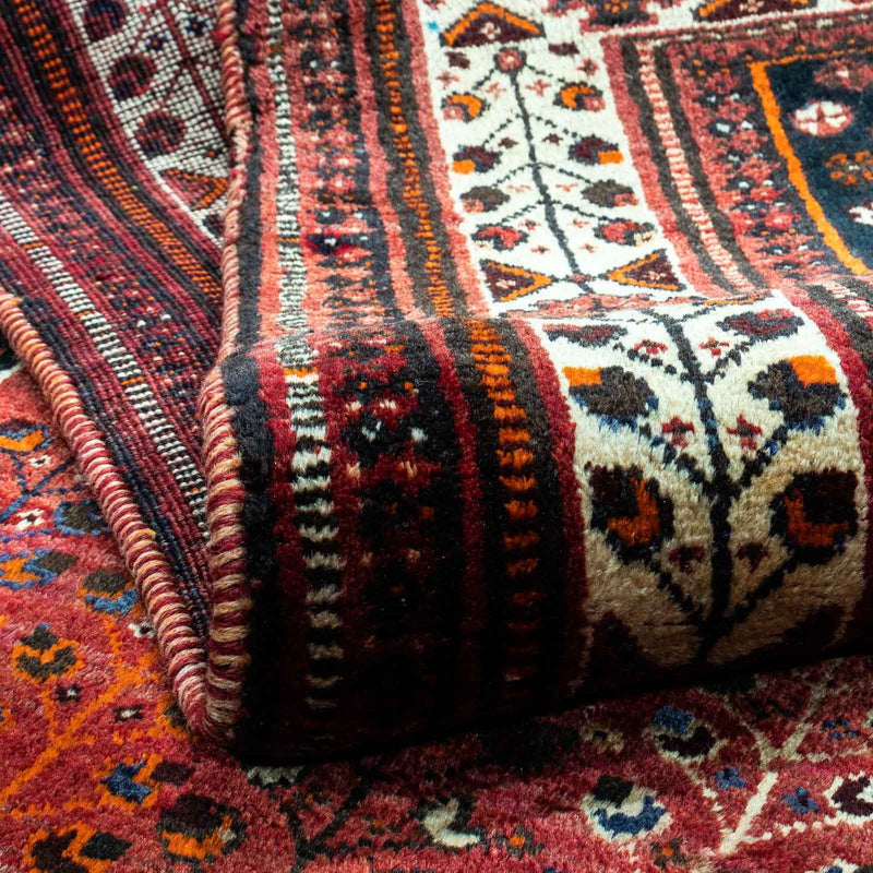 Shiraz Tapete 258x163cm - Tapete persa