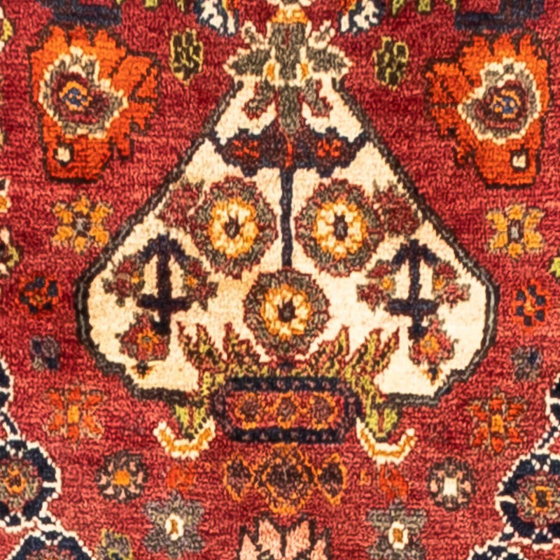 Shiraz Tapete 243x170cm - Tapete persa