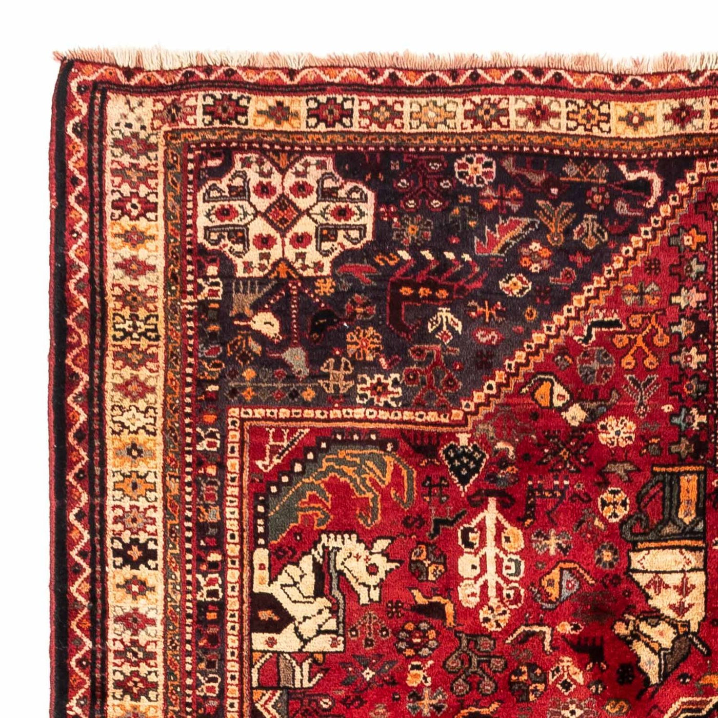 Shiraz Tapete 237x175cm - Tapete persa