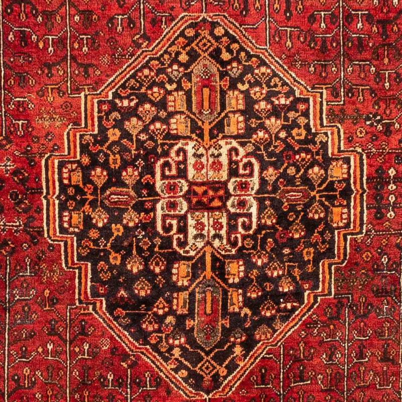 Shiraz Tapete 240x158cm - Tapete persa