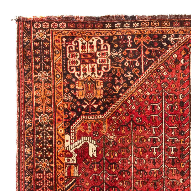 Shiraz Tapete 240x158cm - Tapete persa