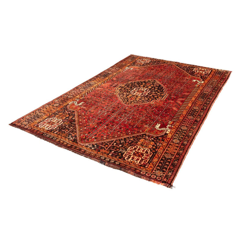 Shiraz Tapete 240x158cm - Tapete persa