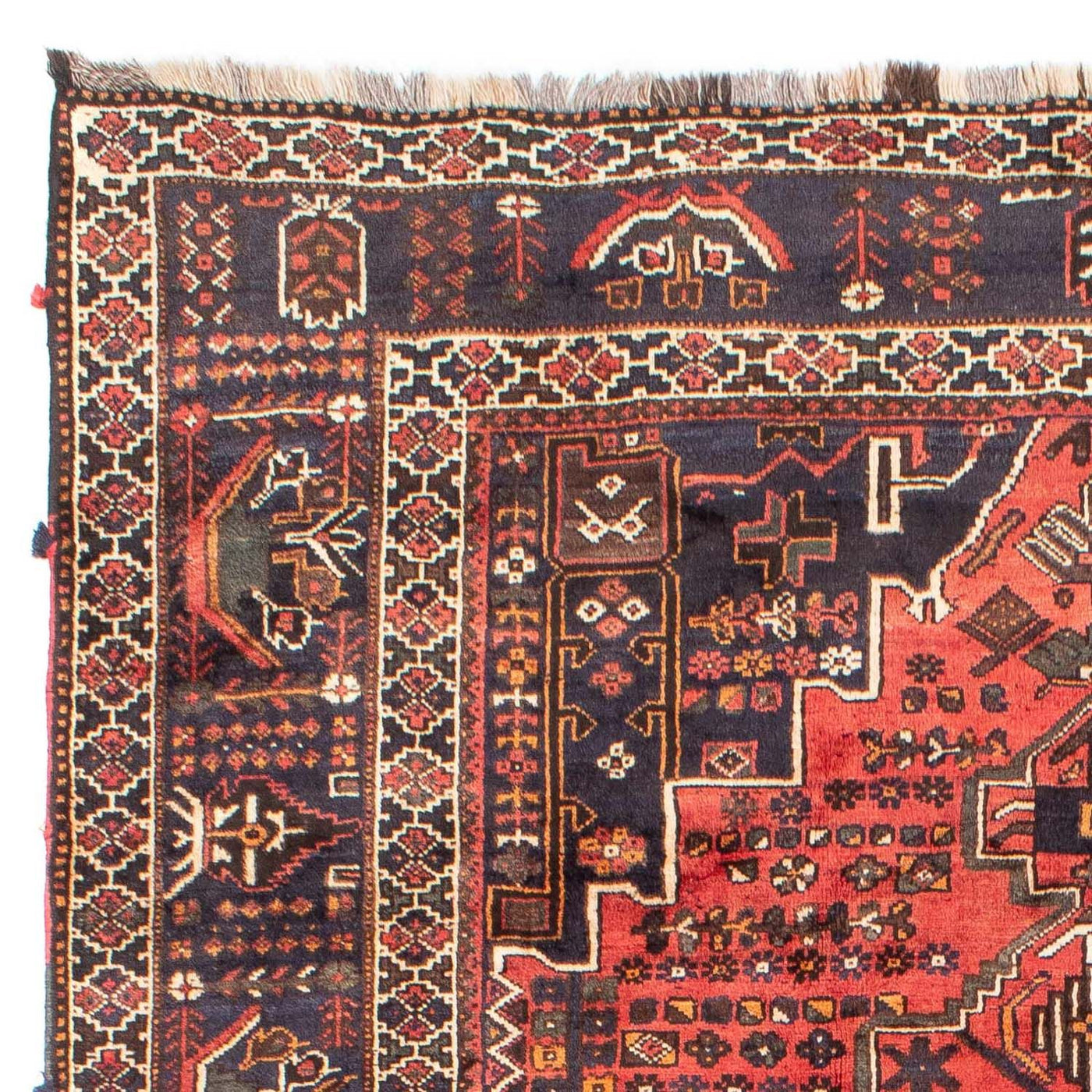 Shiraz Tapete 300x220cm - Tapete persa