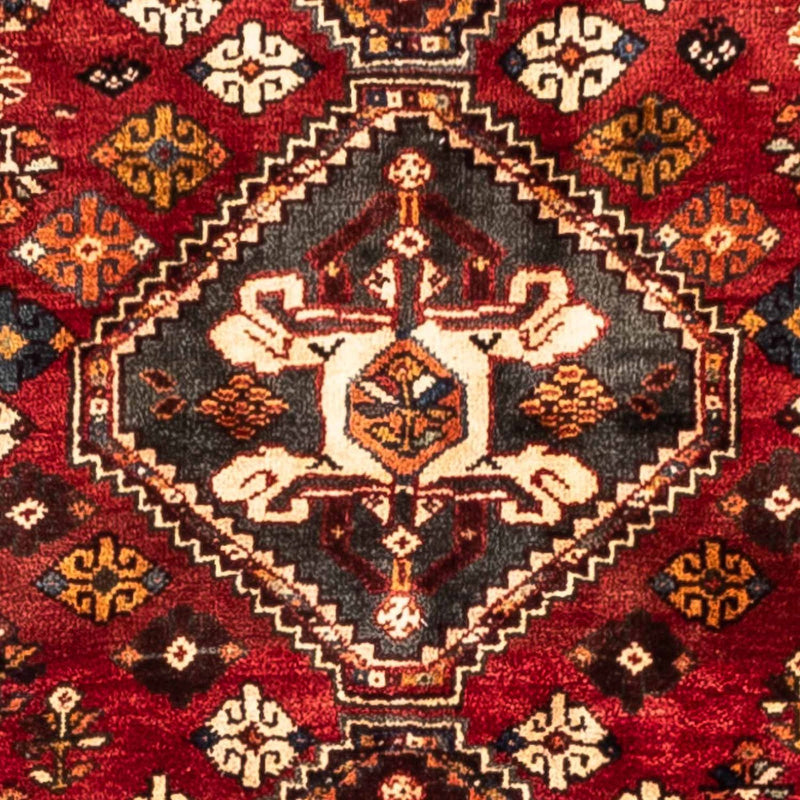Shiraz Tapete 265x170cm - Tapete persa