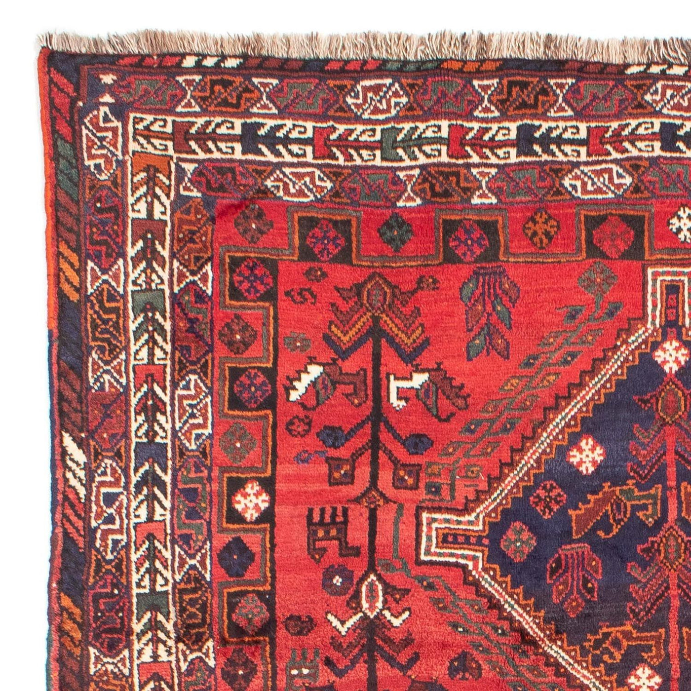 Shiraz Tapete 295x200cm - Tapete persa