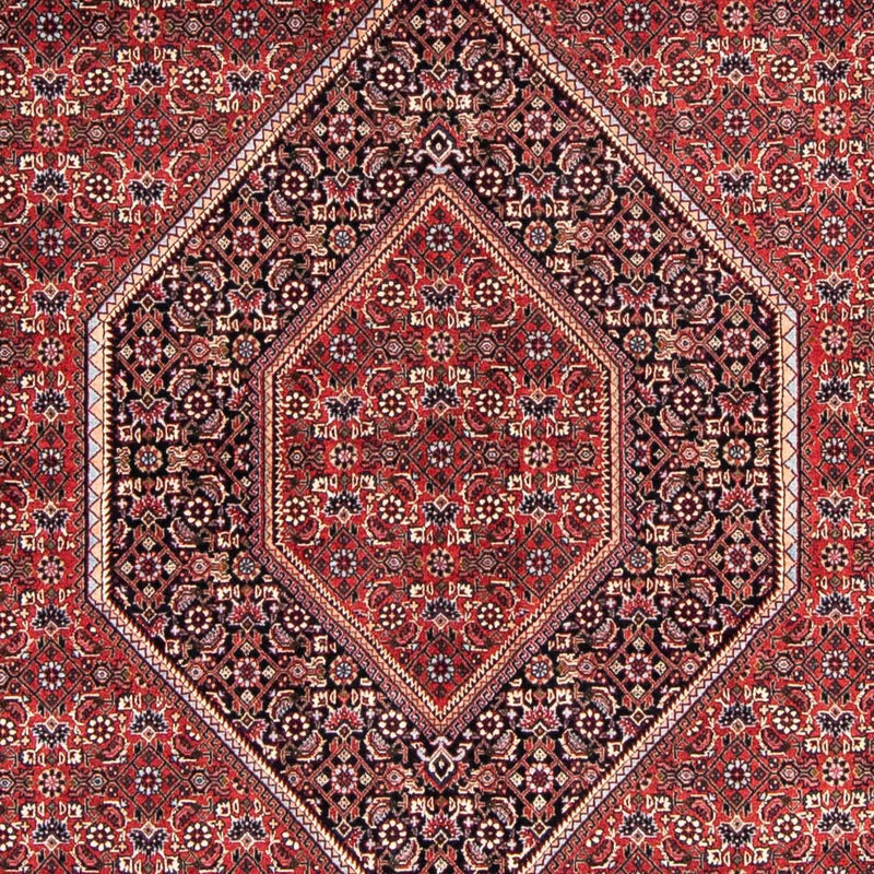 Bidjar Tapete 238x169cm - Tapete persa