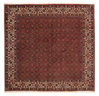 Bidjar Tapete 203x197cm - Tapete persa – product image