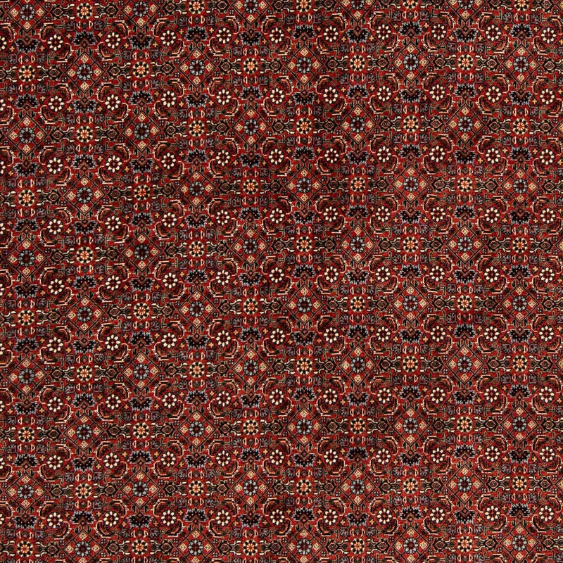Bidjar Tapete 203x197cm - Tapete persa
