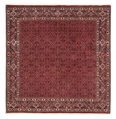 Bidjar Tapete 205x205cm - Tapete persa