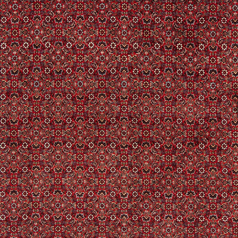 Tapete Persa - Bijar praça  - 205 x 205 cm - vermelho escuro