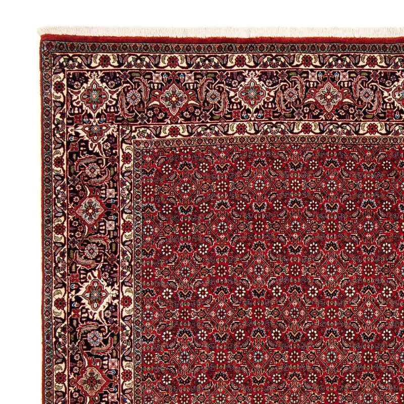 Tapete Persa - Bijar praça  - 205 x 205 cm - vermelho escuro