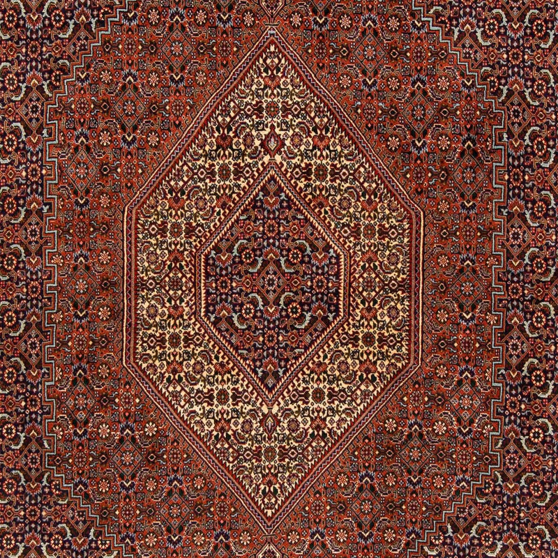 Bidjar Tapete 222x203cm - Tapete persa