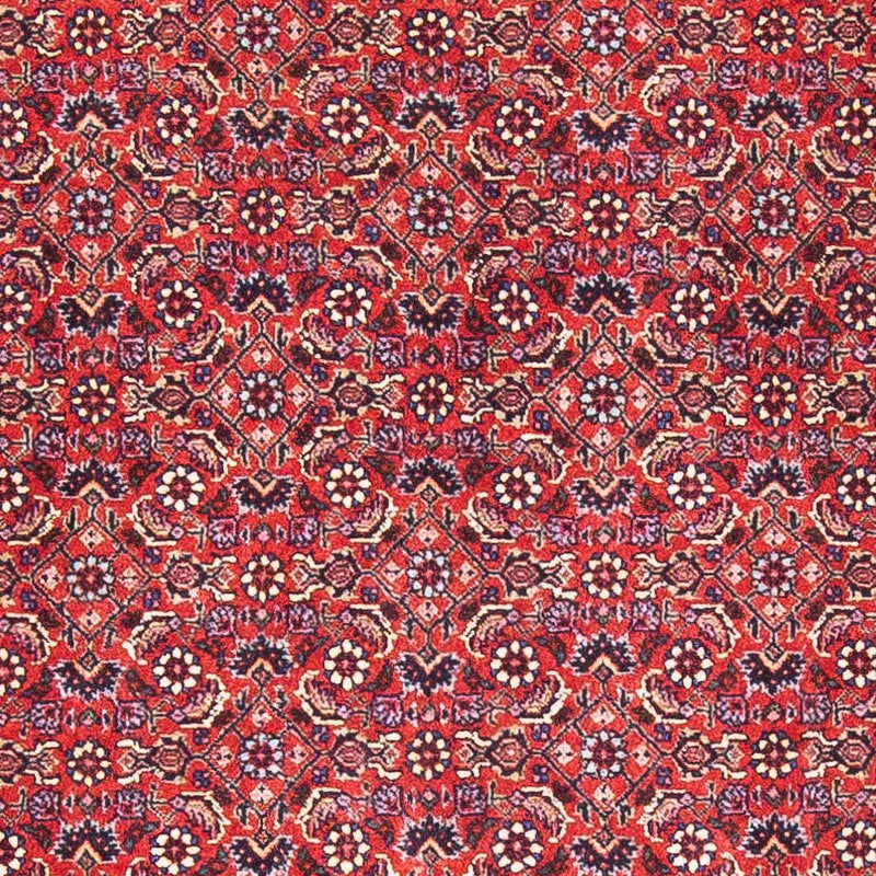 Bidjar Tapete 88x170cm - Tapete persa