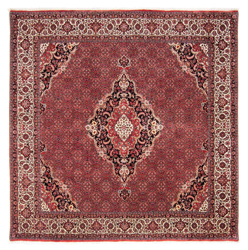Bidjar Tapete 253x253cm - Tapete persa