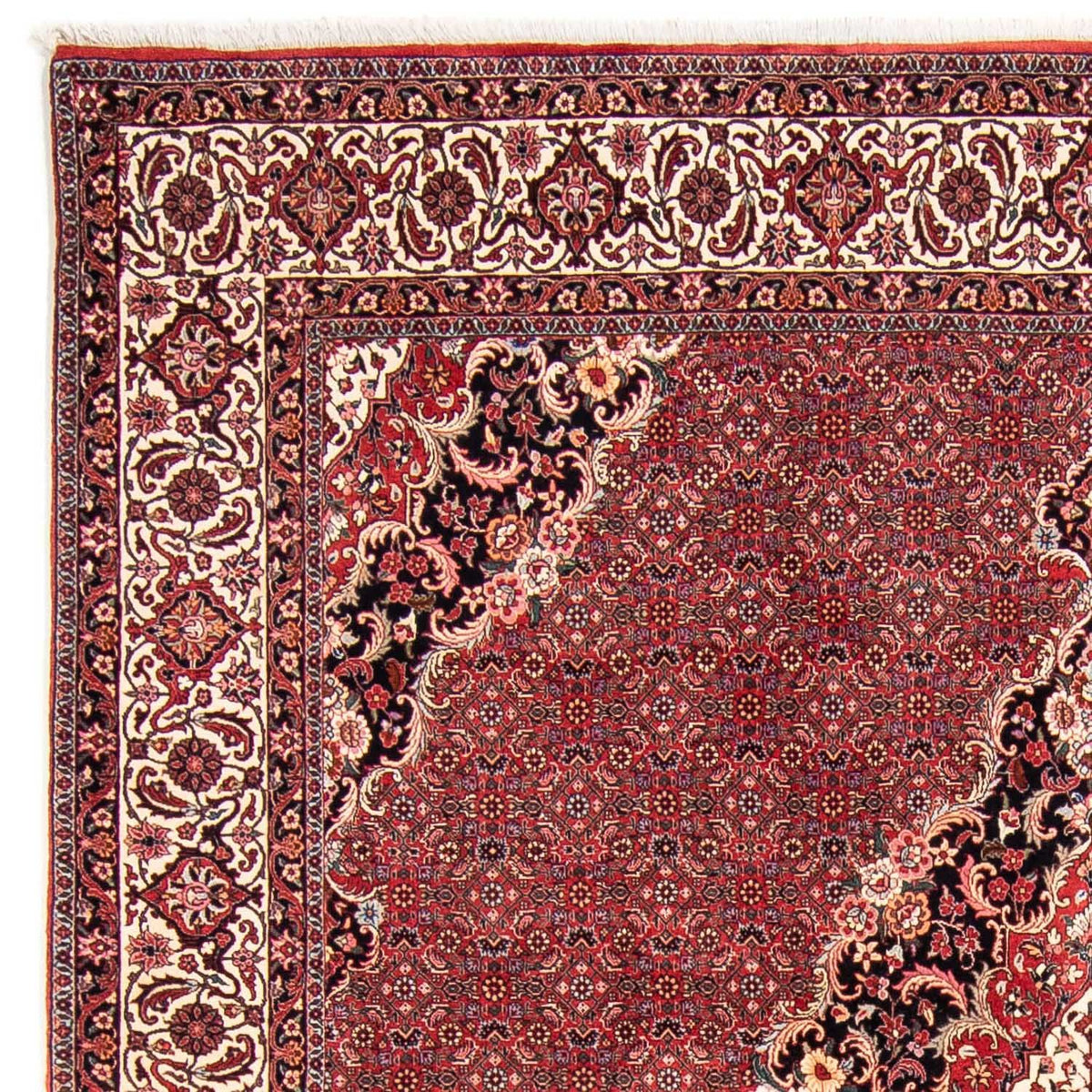 Bidjar Tapete 253x253cm - Tapete persa