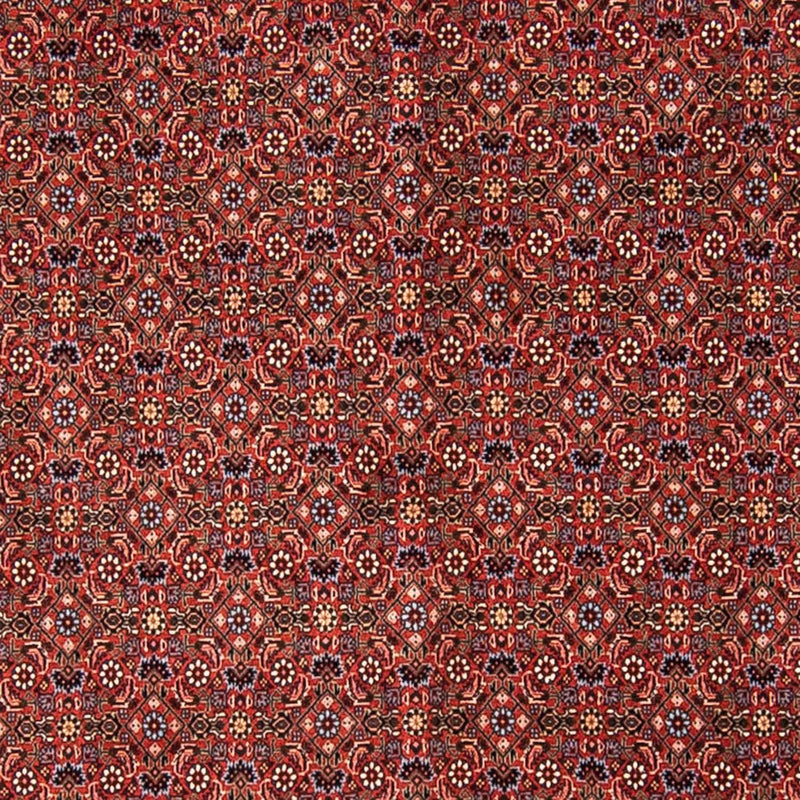 Bidjar Tapete 308x254cm - Tapete persa