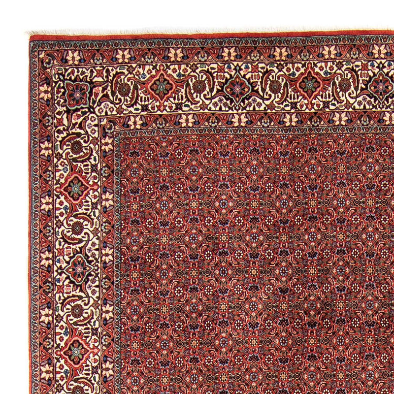 Bidjar Tapete 308x254cm - Tapete persa