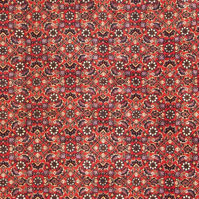 Bidjar Tapete 183x114cm - Tapete persa