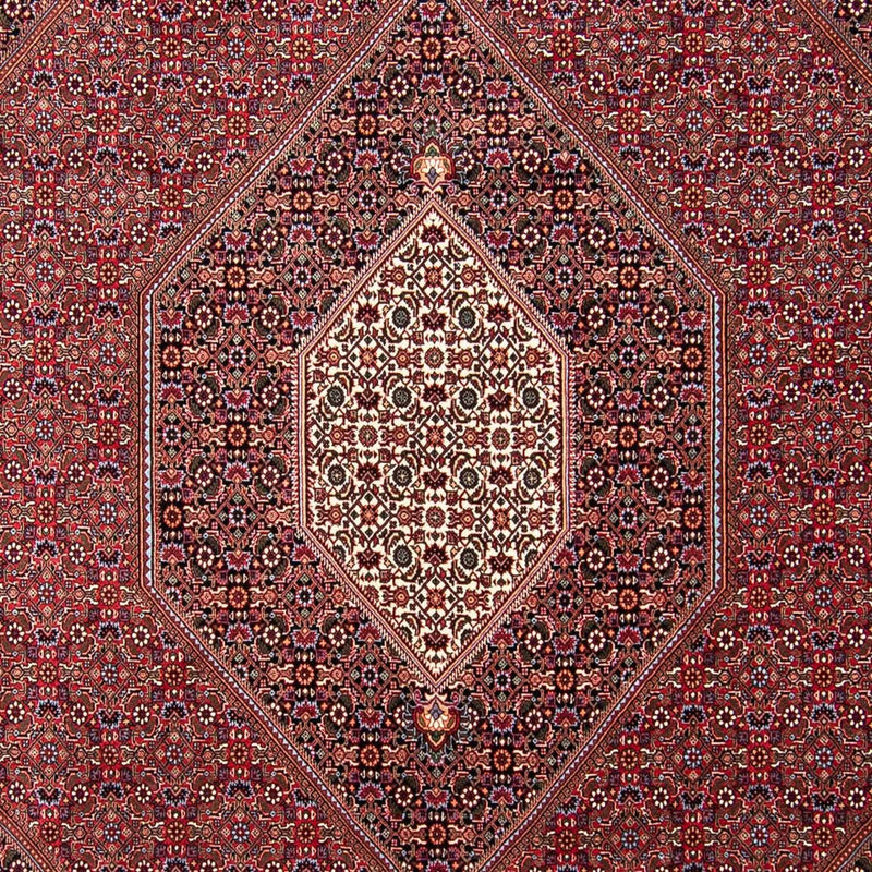 Bidjar Tapete 298x258cm - Tapete persa
