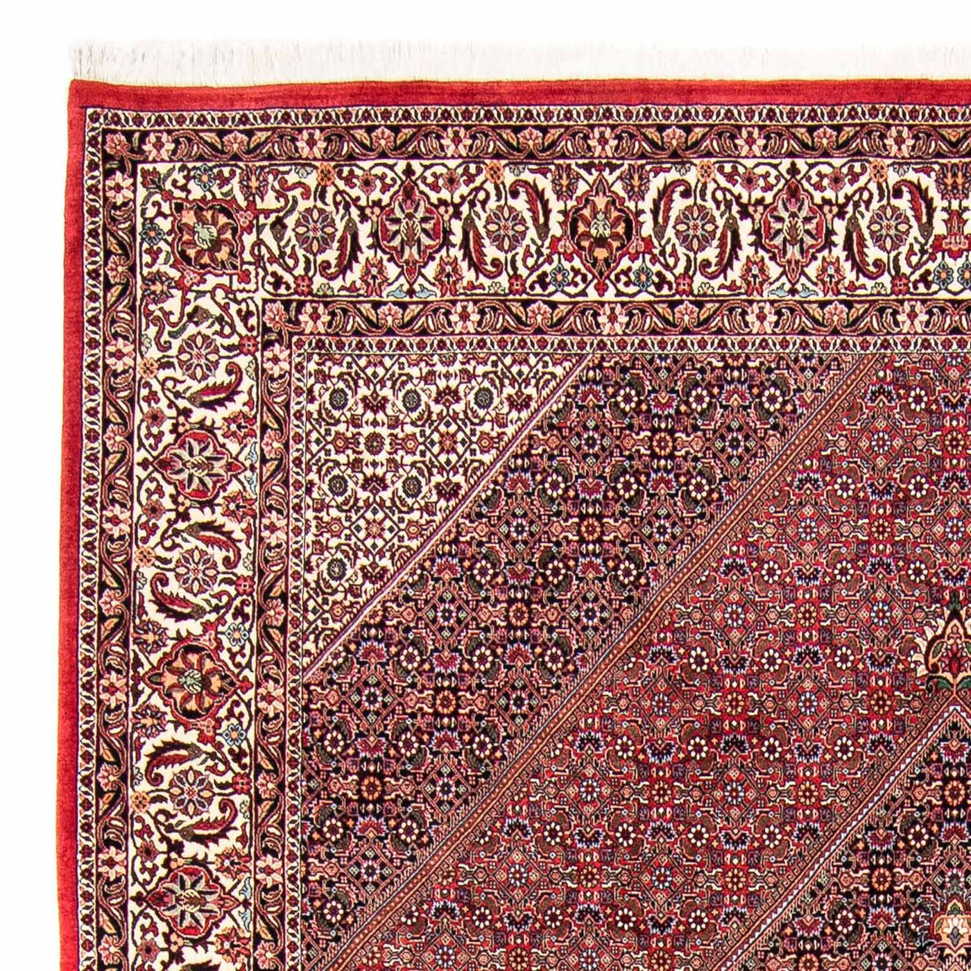 Bidjar Tapete 298x258cm - Tapete persa