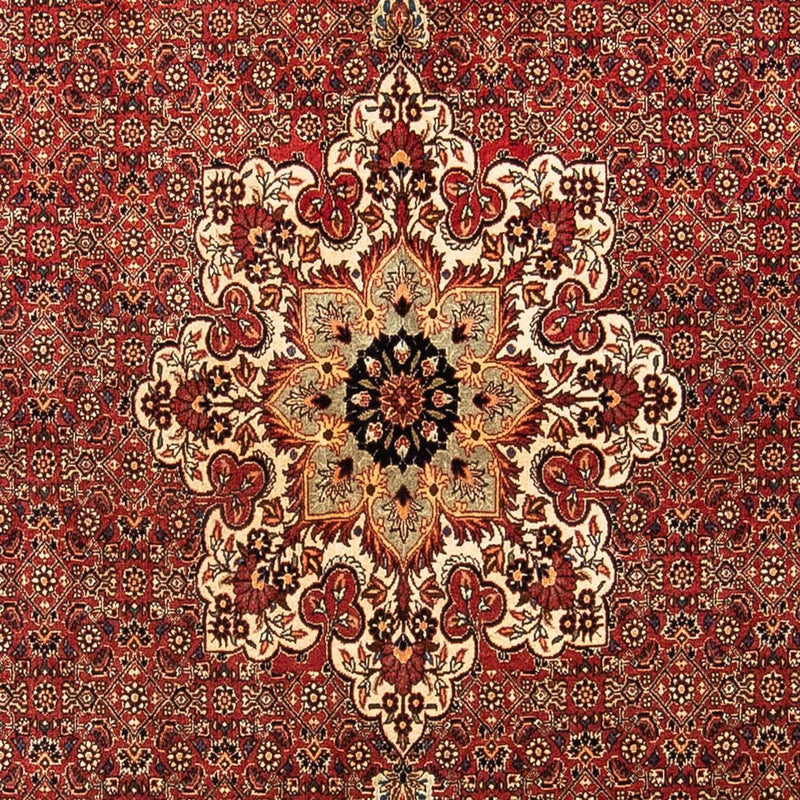 Bidjar Tapete 232x170cm - Tapete persa