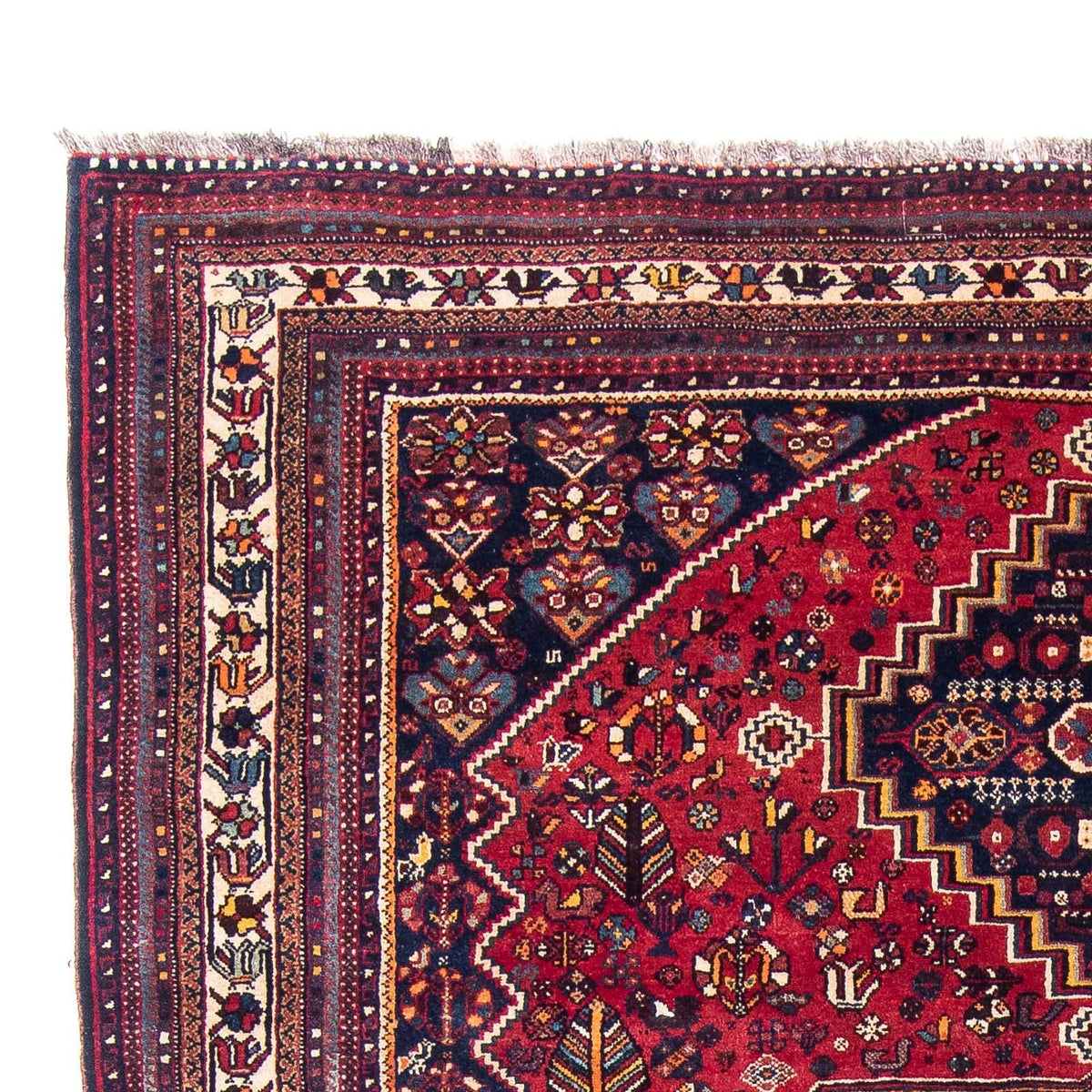 Shiraz Tapete 226x320cm - Tapete persa