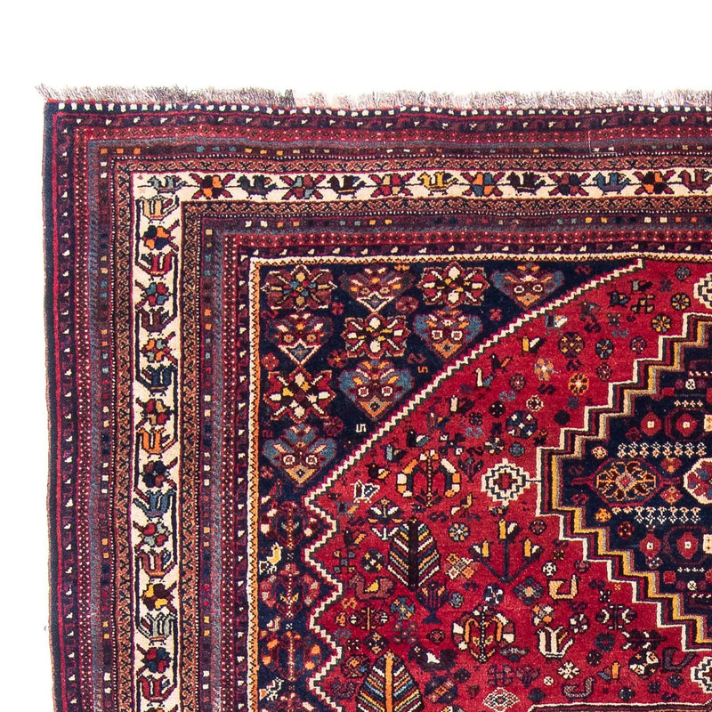 Shiraz Tapete 226x320cm - Tapete persa