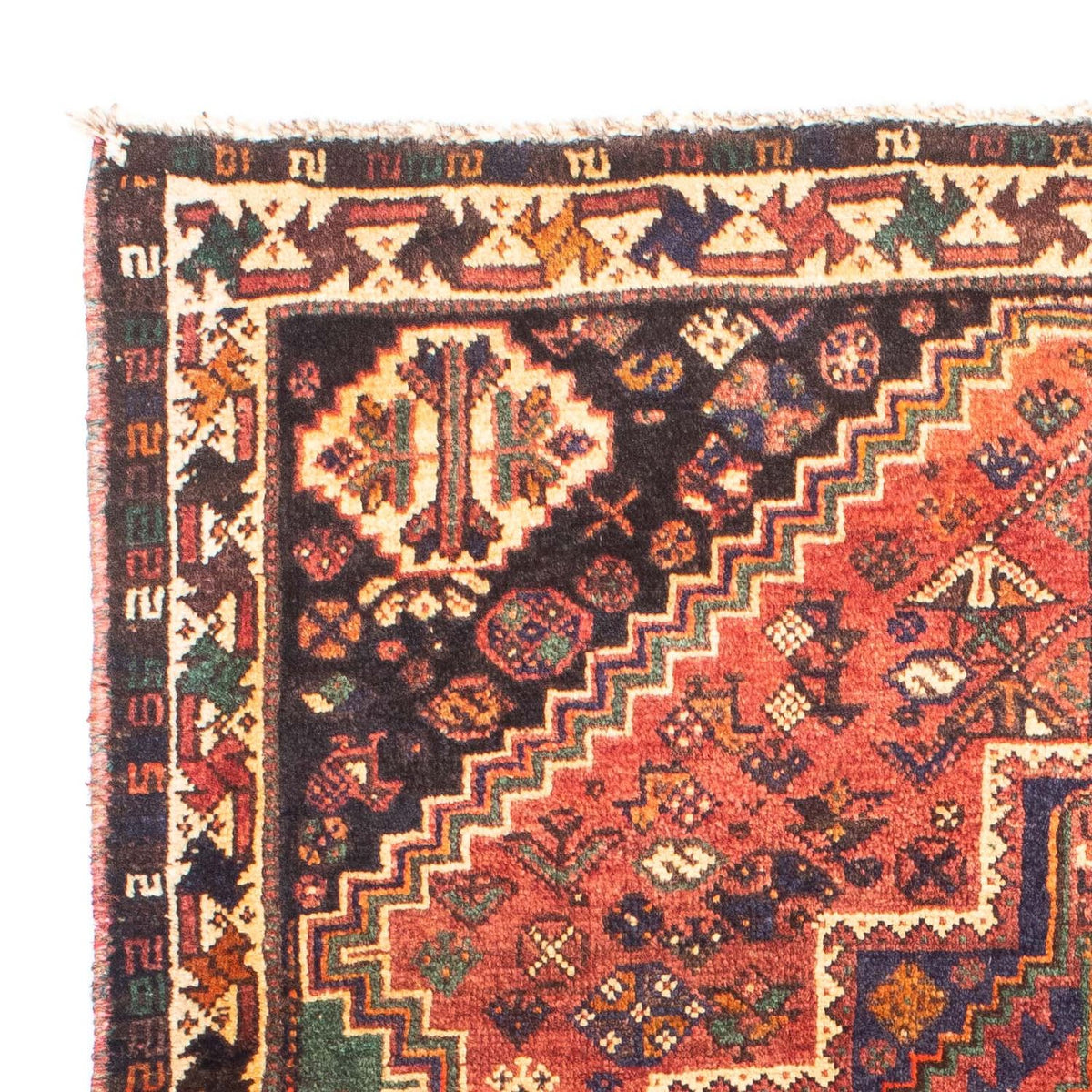 Shiraz Tapete 114x154cm - Tapete persa