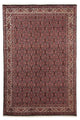 Bidjar Tapete 247x168cm - Tapete persa