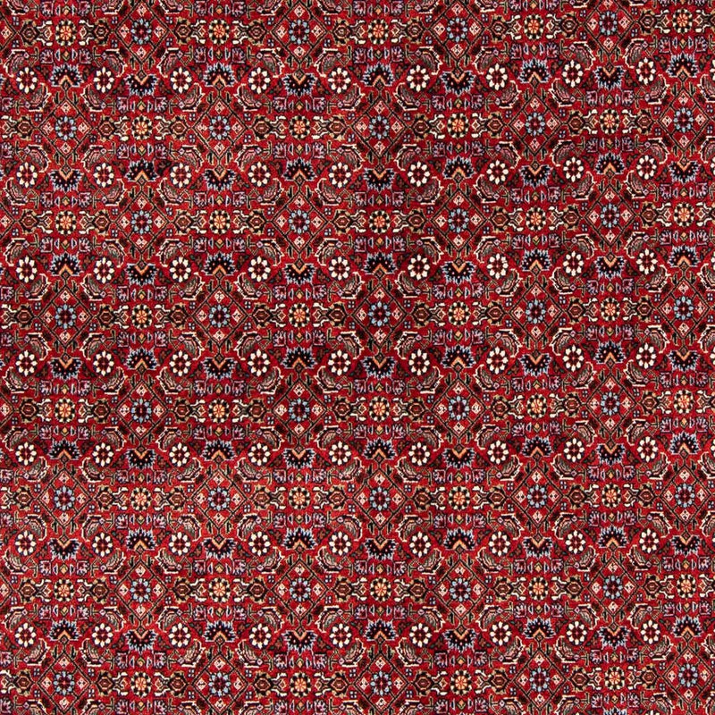 Bidjar Tapete 231x170cm - Tapete persa