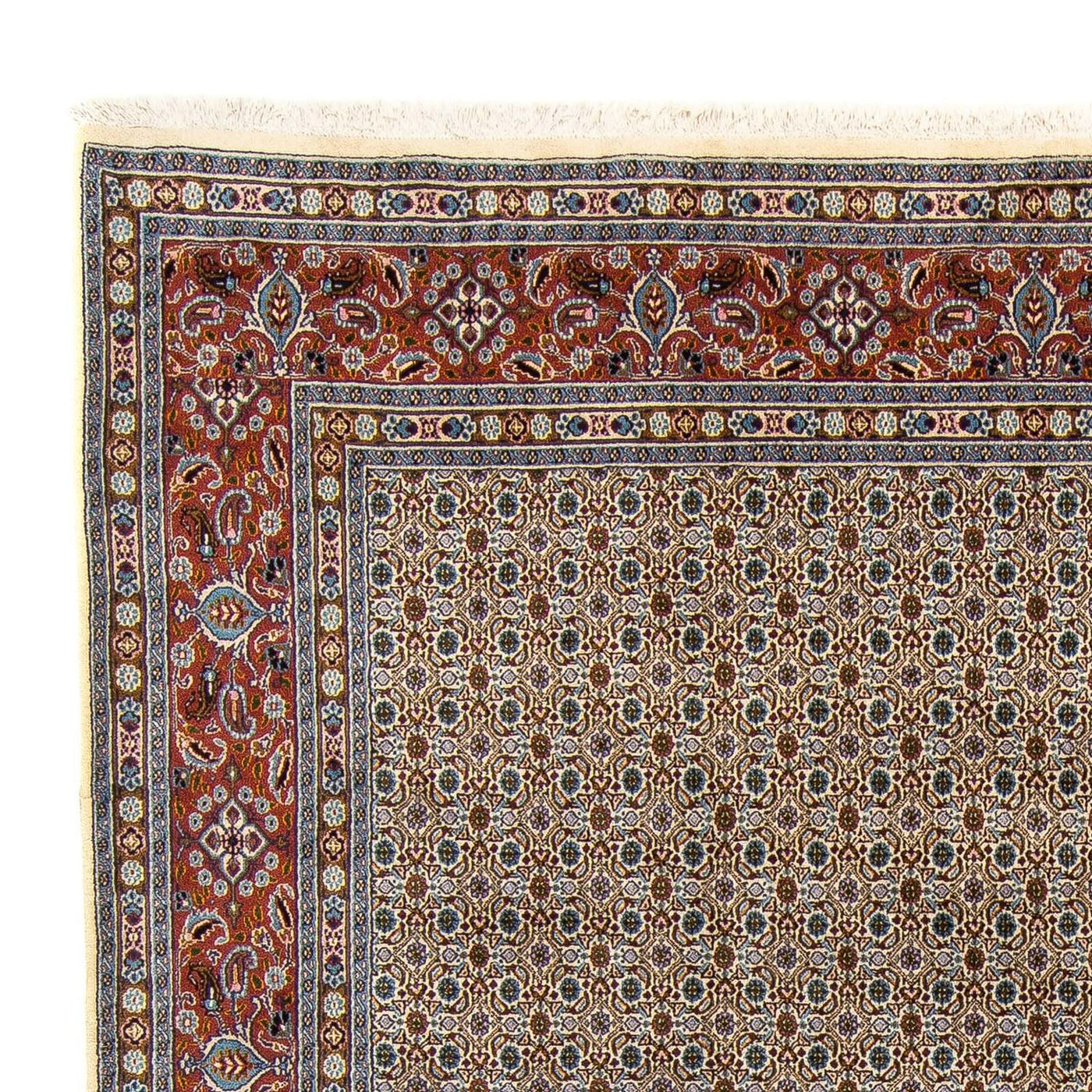Moud Tapete 340x247cm - Tapete persa