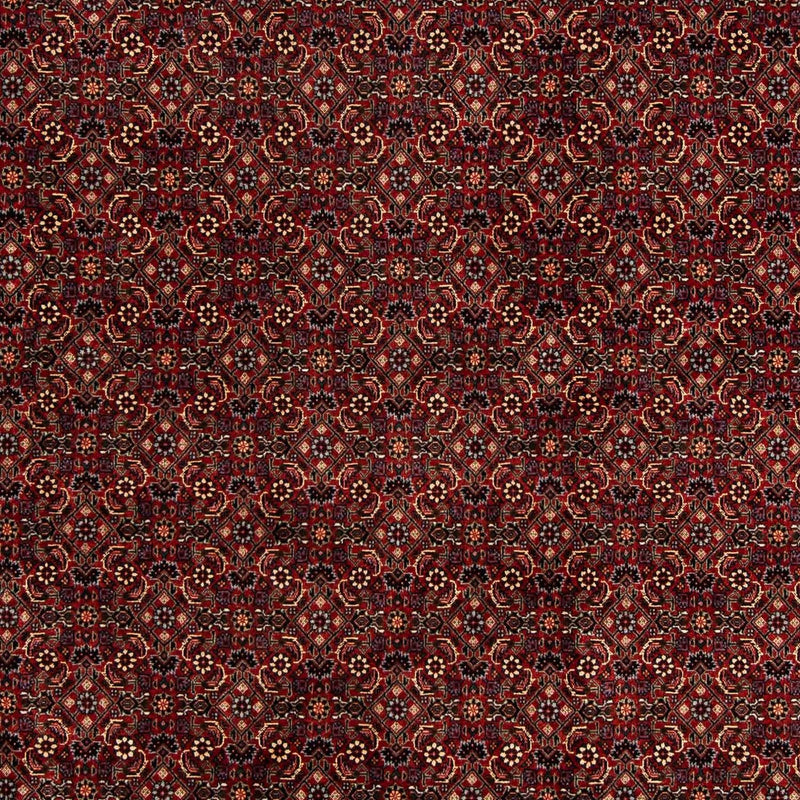 Bidjar Tapete 254x198cm - Tapete persa