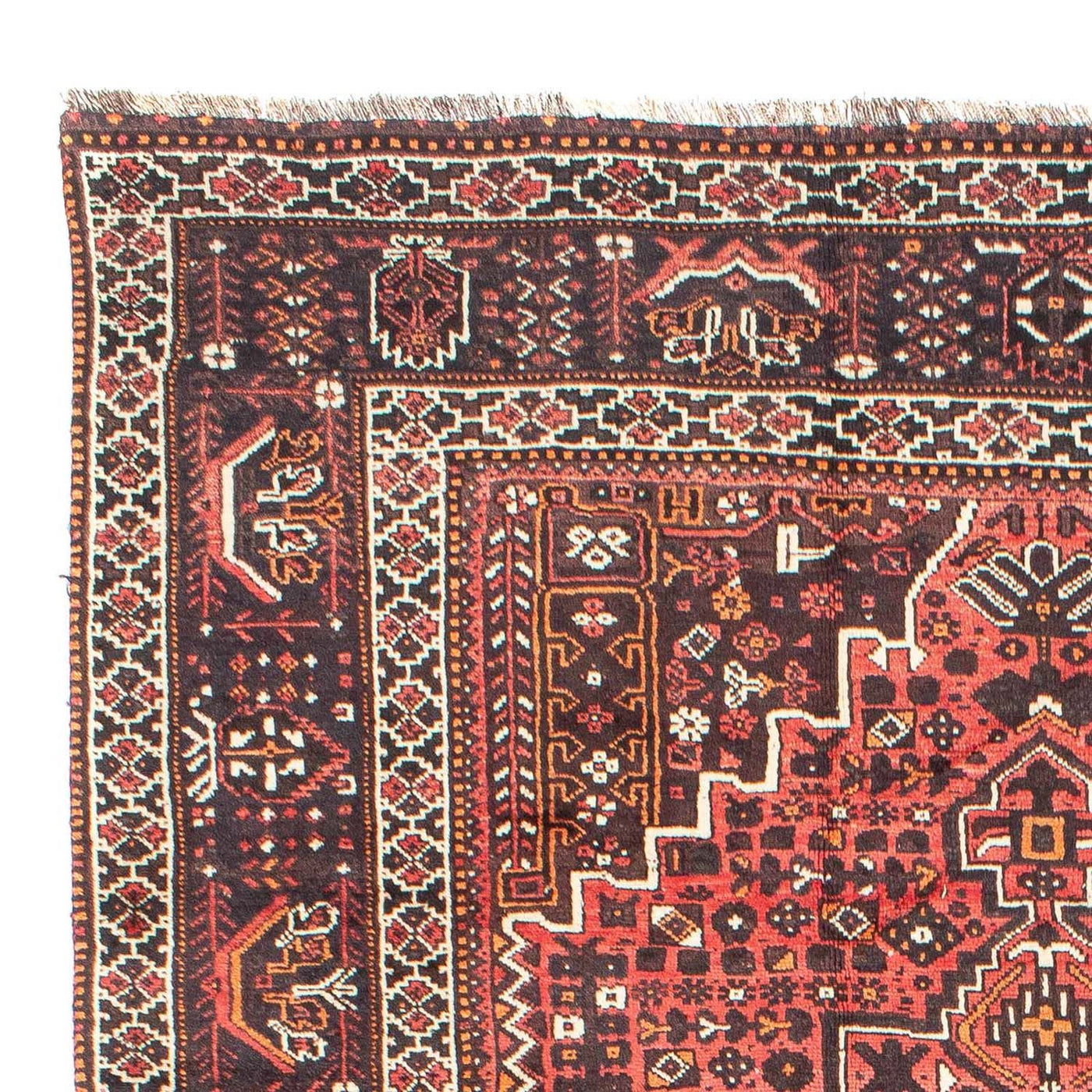 Shiraz Tapete 310x213cm - Tapete persa