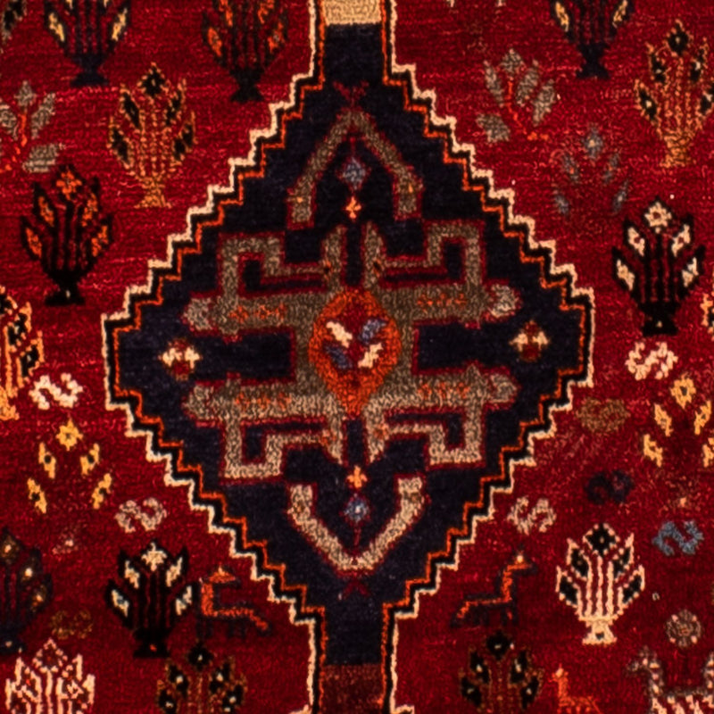 Shiraz Tapete 315x216cm - Tapete persa