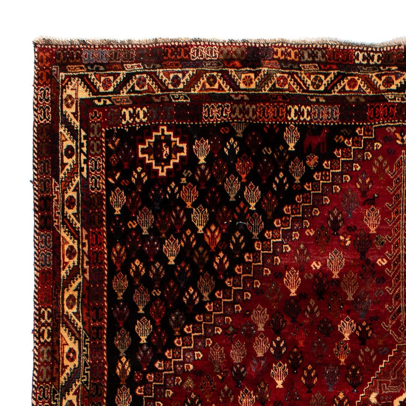 Shiraz Tapete 315x216cm - Tapete persa